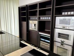 Ardmore Park (D10), Condominium #504608011